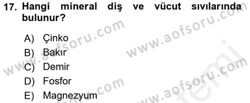 Beslenmenin Temel İlkeleri Dersi 2017 - 2018 Yılı (Vize) Ara Sınav Soruları 17. Soru