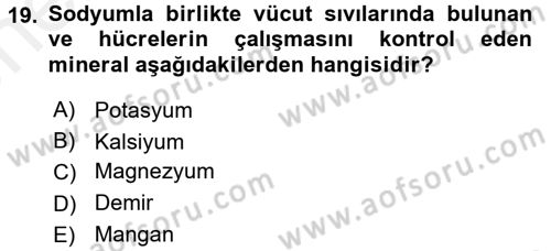 Beslenmenin Temel İlkeleri Dersi 2017 - 2018 Yılı (Vize) Ara Sınavı 19. Soru