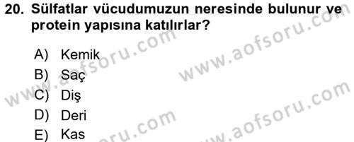 Beslenmenin Temel İlkeleri Dersi 2017 - 2018 Yılı (Vize) Ara Sınavı 20. Soru