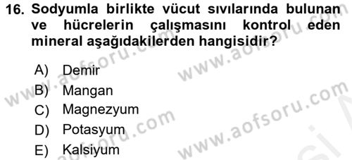 Beslenmenin Temel İlkeleri Dersi 2017 - 2018 Yılı (Final) Dönem Sonu Sınav Soruları 16. Soru