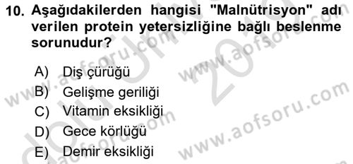 Beslenmenin Temel İlkeleri Dersi 2018 - 2019 Yılı 3 Ders Sınav Soruları 10. Soru