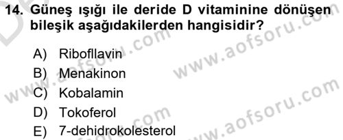 Beslenmenin Temel İlkeleri Dersi 2018 - 2019 Yılı 3 Ders Sınav Soruları 14. Soru
