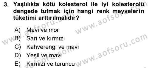 Beslenmenin Temel İlkeleri Dersi 2018 - 2019 Yılı 3 Ders Sınav Soruları 3. Soru