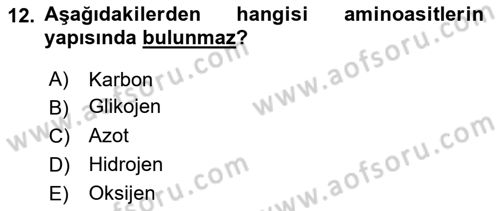 Beslenmenin Temel İlkeleri Dersi 2018 - 2019 Yılı (Vize) Ara Sınav Soruları 12. Soru