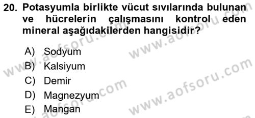 Beslenmenin Temel İlkeleri Dersi 2018 - 2019 Yılı (Vize) Ara Sınav Soruları 20. Soru
