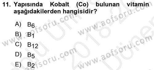 Beslenmenin Temel İlkeleri Dersi 2018 - 2019 Yılı (Final) Dönem Sonu Sınav Soruları 11. Soru