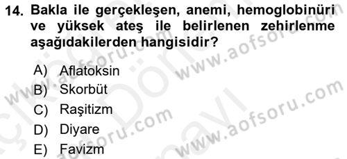 Beslenmenin Temel İlkeleri Dersi 2018 - 2019 Yılı (Final) Dönem Sonu Sınav Soruları 14. Soru