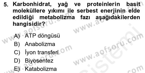 Beslenmenin Temel İlkeleri Dersi 2018 - 2019 Yılı (Final) Dönem Sonu Sınav Soruları 5. Soru