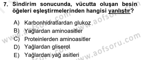 Beslenmenin Temel İlkeleri Dersi 2018 - 2019 Yılı (Final) Dönem Sonu Sınav Soruları 7. Soru