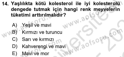 Beslenmenin Temel İlkeleri Dersi 2020 - 2021 Yılı Yaz Okulu Sınav Soruları 14. Soru