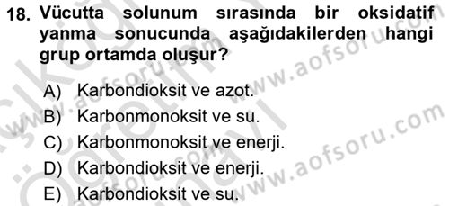 Beslenmenin Temel İlkeleri Dersi 2020 - 2021 Yılı Yaz Okulu Sınav Soruları 18. Soru
