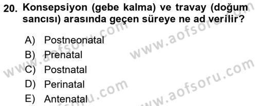 Beslenmenin Temel İlkeleri Dersi 2020 - 2021 Yılı Yaz Okulu Sınav Soruları 20. Soru