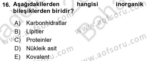 Beslenmenin Temel İlkeleri Dersi 2021 - 2022 Yılı (Vize) Ara Sınav Soruları 16. Soru