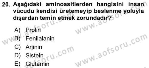 Beslenmenin Temel İlkeleri Dersi 2021 - 2022 Yılı (Vize) Ara Sınav Soruları 20. Soru