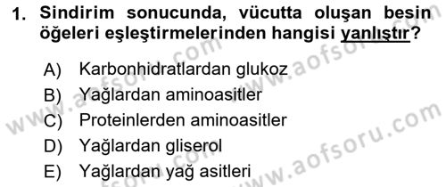 Beslenmenin Temel İlkeleri Dersi 2021 - 2022 Yılı (Final) Dönem Sonu Sınav Soruları 1. Soru