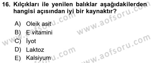 Beslenmenin Temel İlkeleri Dersi 2021 - 2022 Yılı (Final) Dönem Sonu Sınav Soruları 16. Soru
