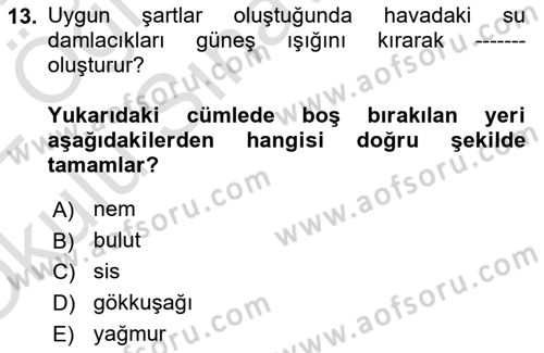 Beslenmenin Temel İlkeleri Dersi 2021 - 2022 Yılı Yaz Okulu Sınav Soruları 13. Soru