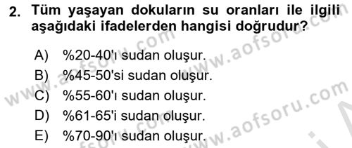 Beslenmenin Temel İlkeleri Dersi 2021 - 2022 Yılı Yaz Okulu Sınav Soruları 2. Soru