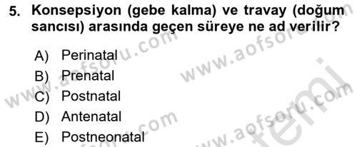 Beslenmenin Temel İlkeleri Dersi 2021 - 2022 Yılı Yaz Okulu Sınav Soruları 5. Soru