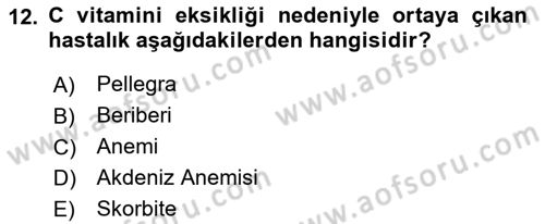 Beslenmenin Temel İlkeleri Dersi 2022 - 2023 Yılı Yaz Okulu Sınav Soruları 12. Soru