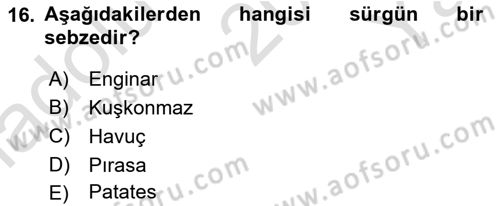 Beslenmenin Temel İlkeleri Dersi 2022 - 2023 Yılı Yaz Okulu Sınav Soruları 16. Soru