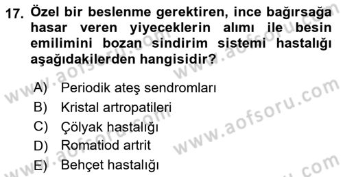 Beslenmenin Temel İlkeleri Dersi 2022 - 2023 Yılı Yaz Okulu Sınav Soruları 17. Soru