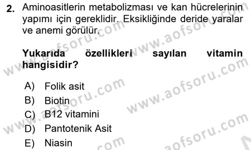 Beslenmenin Temel İlkeleri Dersi 2022 - 2023 Yılı Yaz Okulu Sınav Soruları 2. Soru