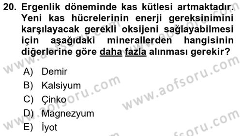 Beslenmenin Temel İlkeleri Dersi 2022 - 2023 Yılı Yaz Okulu Sınav Soruları 20. Soru