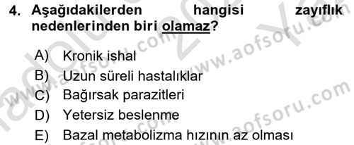 Beslenmenin Temel İlkeleri Dersi 2022 - 2023 Yılı Yaz Okulu Sınav Soruları 4. Soru
