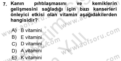 Beslenmenin Temel İlkeleri Dersi 2022 - 2023 Yılı Yaz Okulu Sınav Soruları 7. Soru