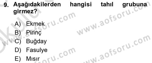 Beslenmenin Temel İlkeleri Dersi 2022 - 2023 Yılı Yaz Okulu Sınav Soruları 9. Soru