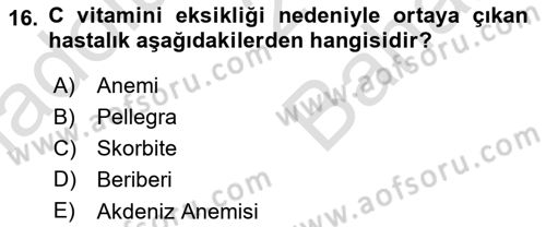 Beslenmenin Temel İlkeleri Dersi 2023 - 2024 Yılı (Vize) Ara Sınav Soruları 16. Soru