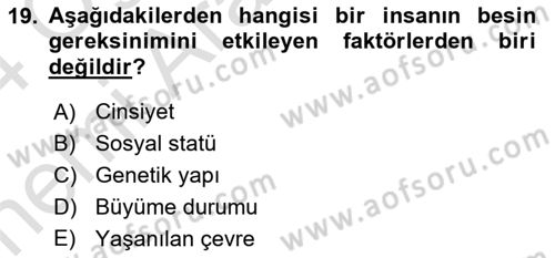 Beslenmenin Temel İlkeleri Dersi 2023 - 2024 Yılı (Vize) Ara Sınav Soruları 19. Soru