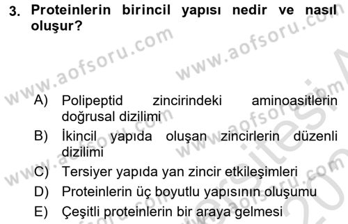Beslenmenin Temel İlkeleri Dersi 2023 - 2024 Yılı (Vize) Ara Sınav Soruları 3. Soru