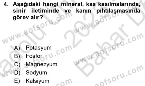 Beslenmenin Temel İlkeleri Dersi 2023 - 2024 Yılı (Vize) Ara Sınav Soruları 4. Soru
