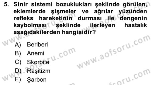 Beslenmenin Temel İlkeleri Dersi 2023 - 2024 Yılı (Vize) Ara Sınav Soruları 5. Soru