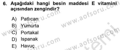 Beslenmenin Temel İlkeleri Dersi 2023 - 2024 Yılı (Vize) Ara Sınav Soruları 6. Soru