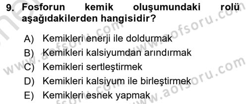Beslenmenin Temel İlkeleri Dersi 2023 - 2024 Yılı (Vize) Ara Sınav Soruları 9. Soru