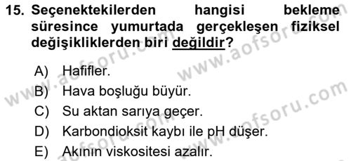 Beslenmenin Temel İlkeleri Dersi 2023 - 2024 Yılı (Final) Dönem Sonu Sınav Soruları 15. Soru
