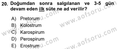 Beslenmenin Temel İlkeleri Dersi 2023 - 2024 Yılı (Final) Dönem Sonu Sınav Soruları 20. Soru