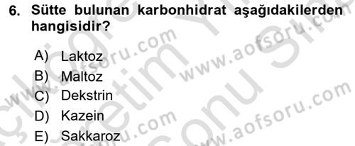 Beslenmenin Temel İlkeleri Dersi 2023 - 2024 Yılı (Final) Dönem Sonu Sınav Soruları 6. Soru