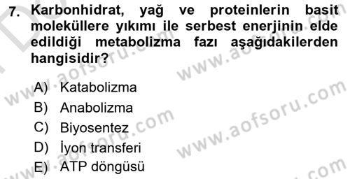 Beslenmenin Temel İlkeleri Dersi 2023 - 2024 Yılı (Final) Dönem Sonu Sınavı 7. Soru