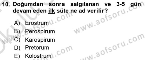 Beslenmenin Temel İlkeleri Dersi 2023 - 2024 Yılı Yaz Okulu Sınav Soruları 10. Soru