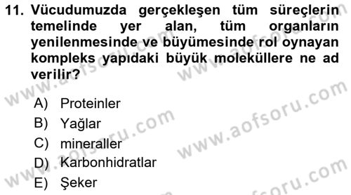 Beslenmenin Temel İlkeleri Dersi 2023 - 2024 Yılı Yaz Okulu Sınav Soruları 11. Soru