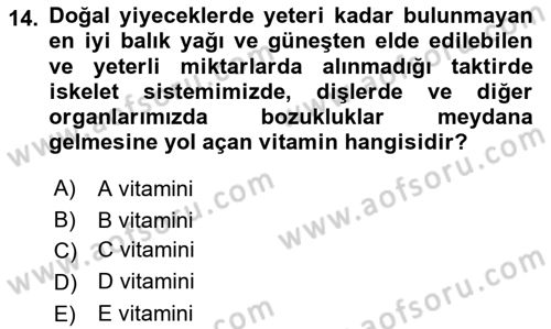 Beslenmenin Temel İlkeleri Dersi 2023 - 2024 Yılı Yaz Okulu Sınav Soruları 14. Soru