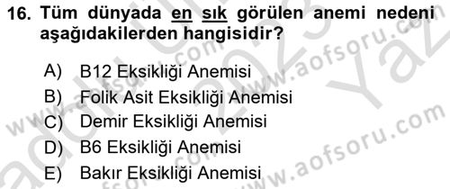 Beslenmenin Temel İlkeleri Dersi 2023 - 2024 Yılı Yaz Okulu Sınav Soruları 16. Soru
