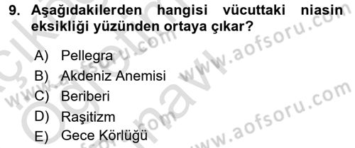 Beslenmenin Temel İlkeleri Dersi 2023 - 2024 Yılı Yaz Okulu Sınav Soruları 9. Soru