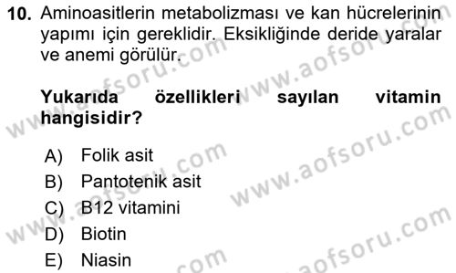 Beslenmenin Temel İlkeleri Dersi 2024 - 2025 Yılı (Vize) Ara Sınav Soruları 10. Soru