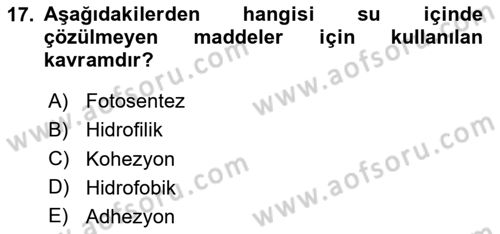 Beslenmenin Temel İlkeleri Dersi 2024 - 2025 Yılı (Vize) Ara Sınav Soruları 17. Soru