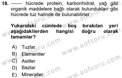 Beslenmenin Temel İlkeleri Dersi 2024 - 2025 Yılı (Vize) Ara Sınav Soruları 18. Soru